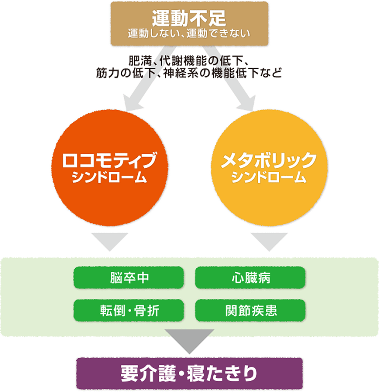 運動不足は要介護の原因