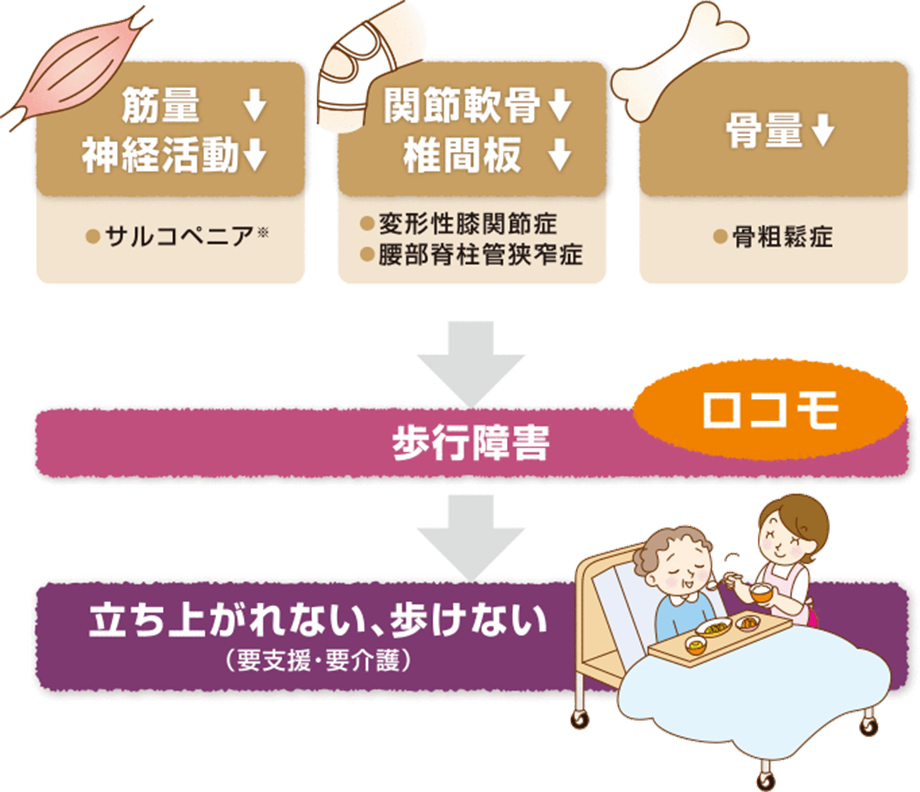 ロコモティブシンドローム（ロコモ）ってなに？